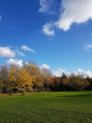 Fleetway Open Space