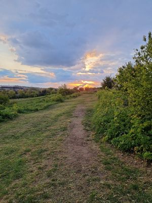Northfleet Urban Country Park