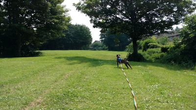 The Sandpipers Open Space