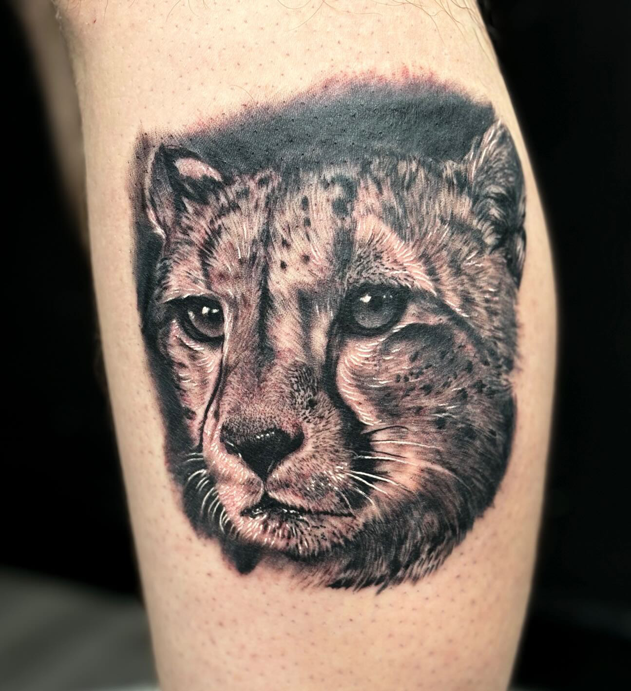 Coalesce Tattoo Gallery