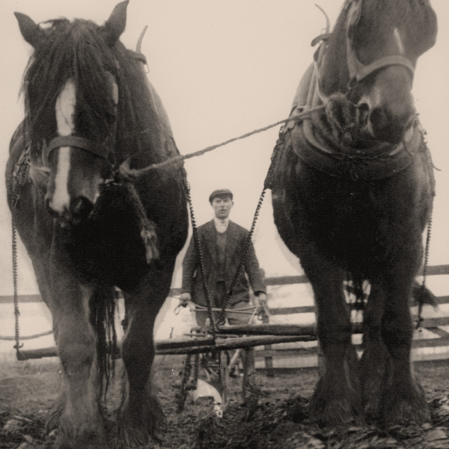 Glebe Farm (FC & CC Elderton)