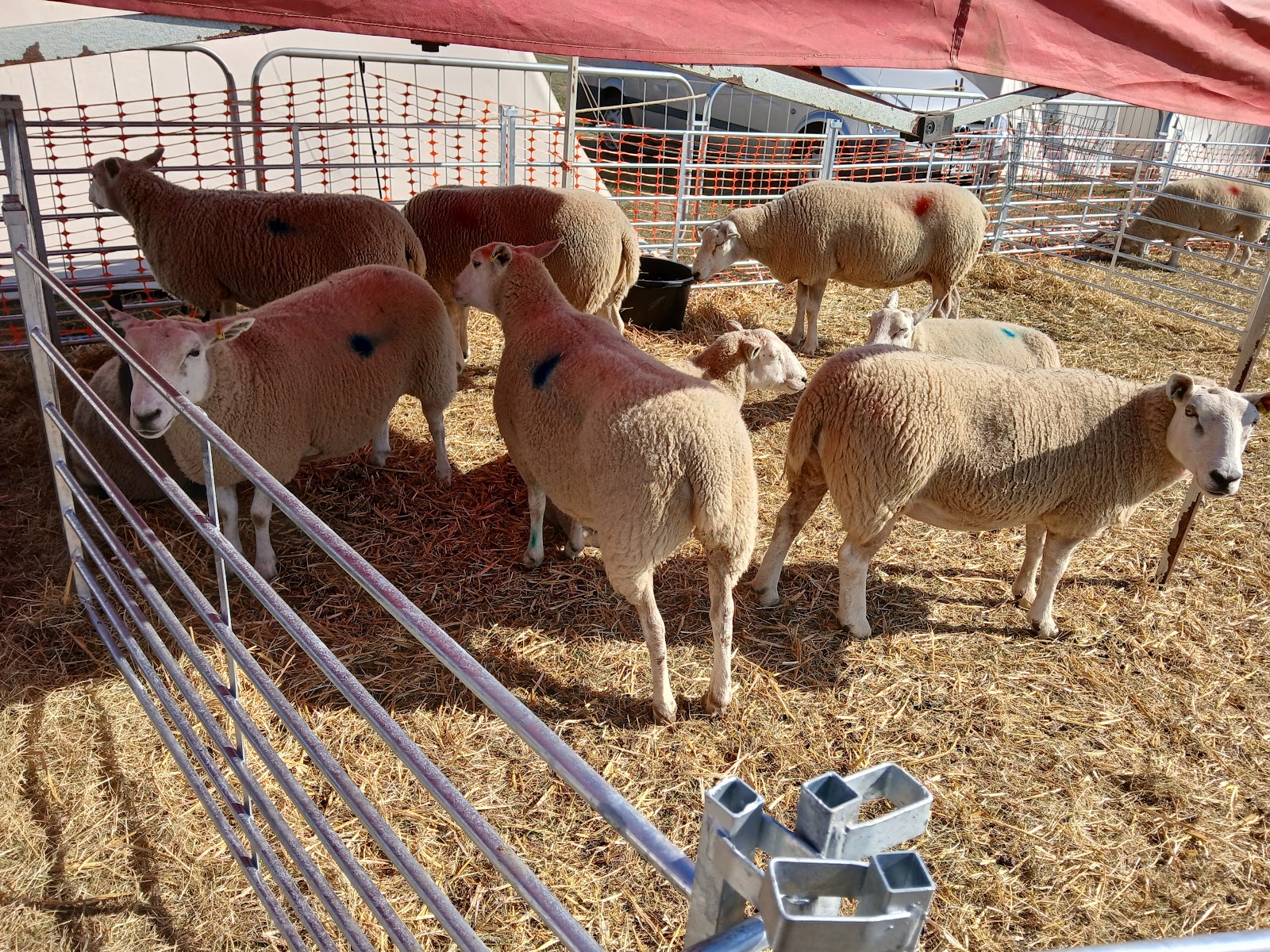 Market Harborough Showground
