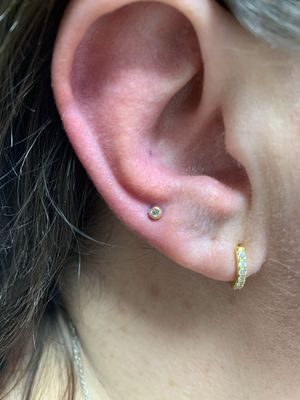 The Piercing Boutique