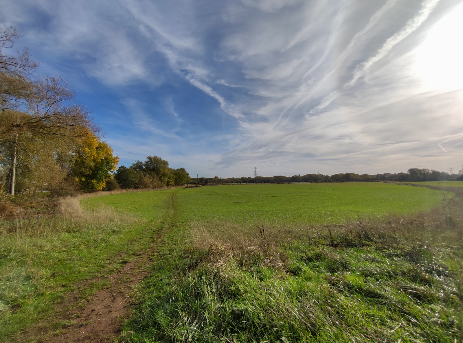 Grandpont Nature Park