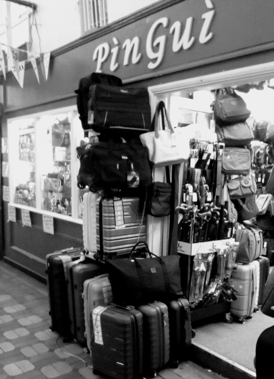 PinGui Bags of Oxford