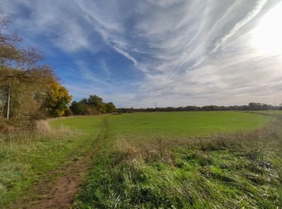 Grandpont Nature Park