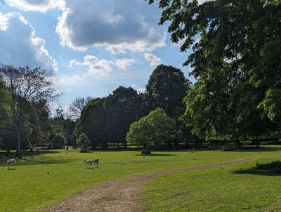 The Grove