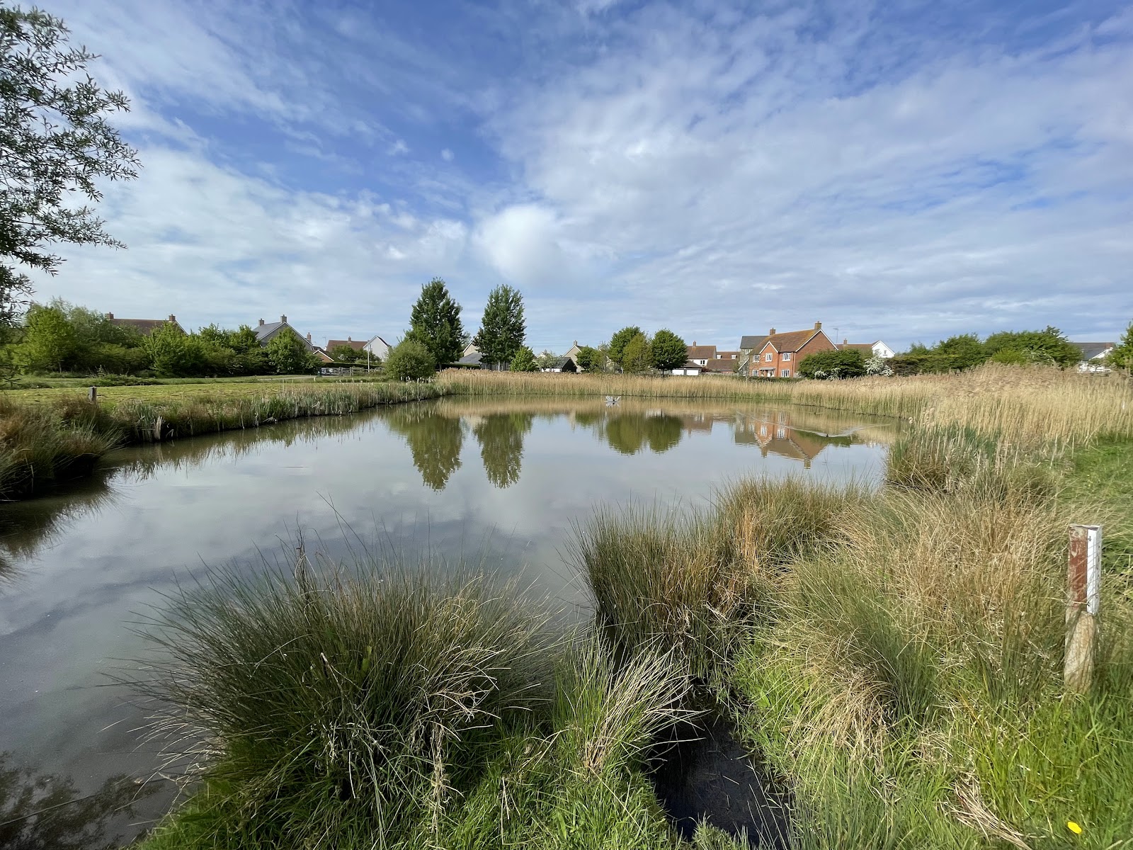 Portbury Wharf Nature Reserve