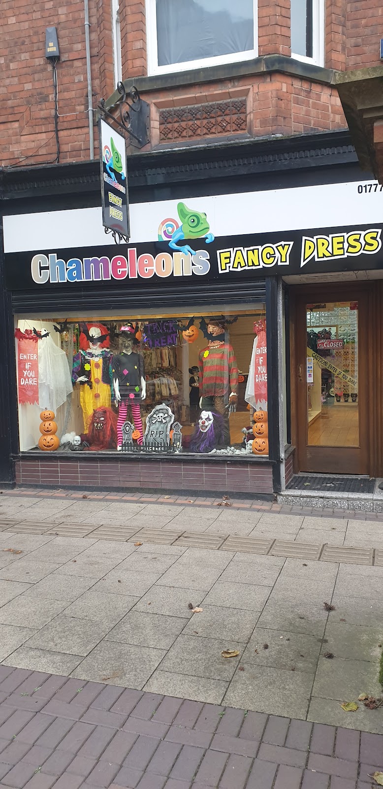 Chameleons Fancy Dress
