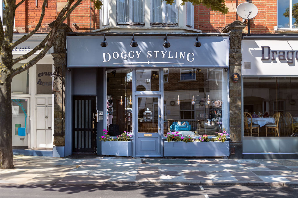 Doggy Styling Boutique & Grooming - Richmond
