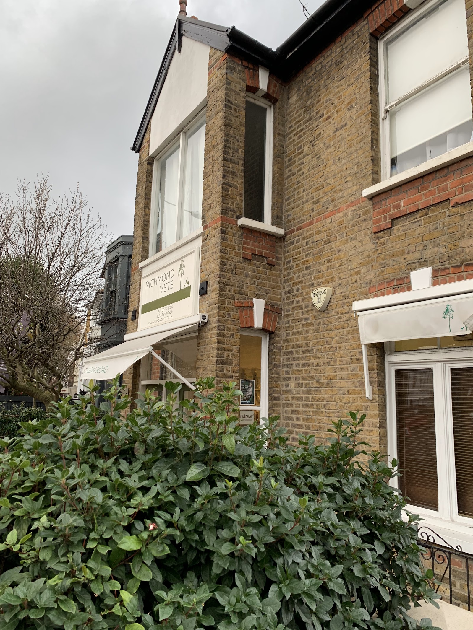 Richmond Vets