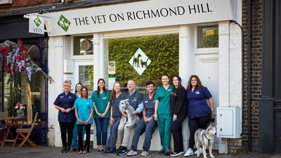 The Vet on Richmond Hill