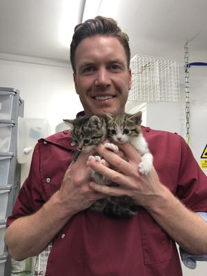 Tony’s Mobile Vets