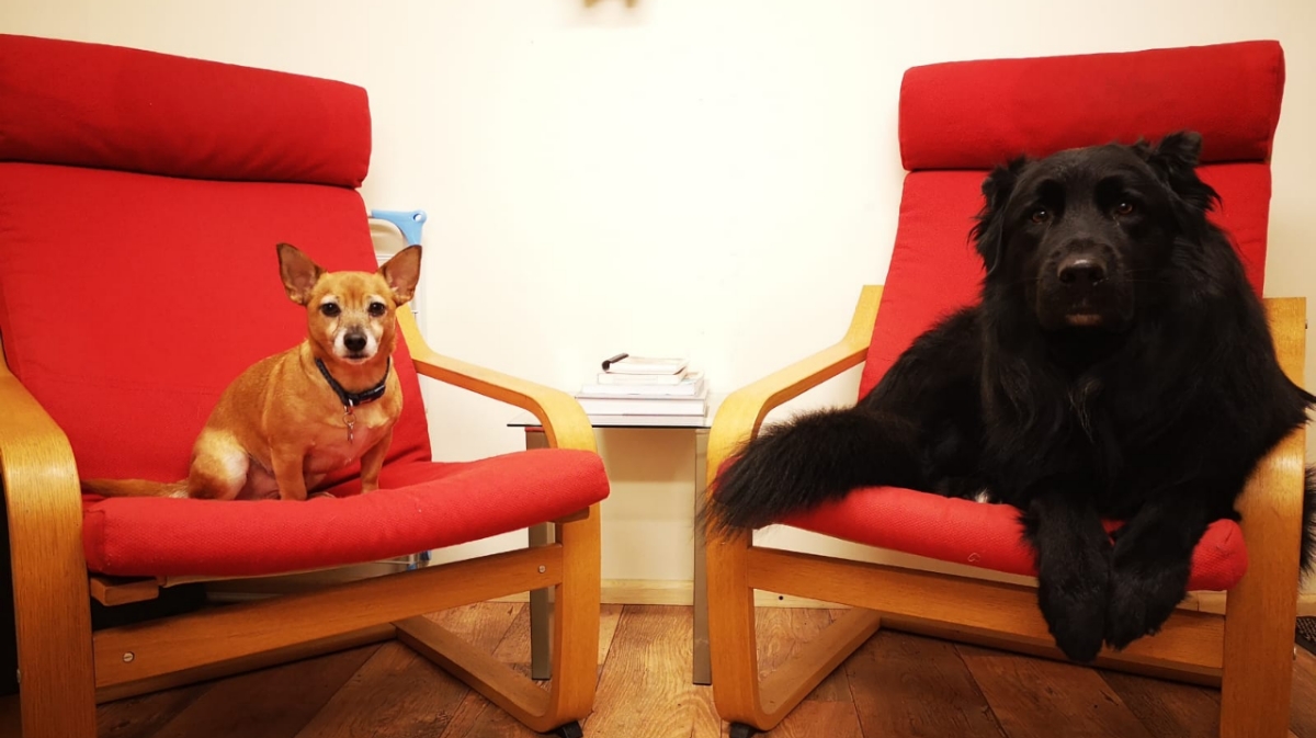 Whispers Grooming Rothwell