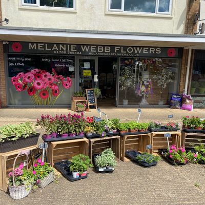 Melanie Webb Flowers