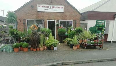 Poultry & Bird Supplies