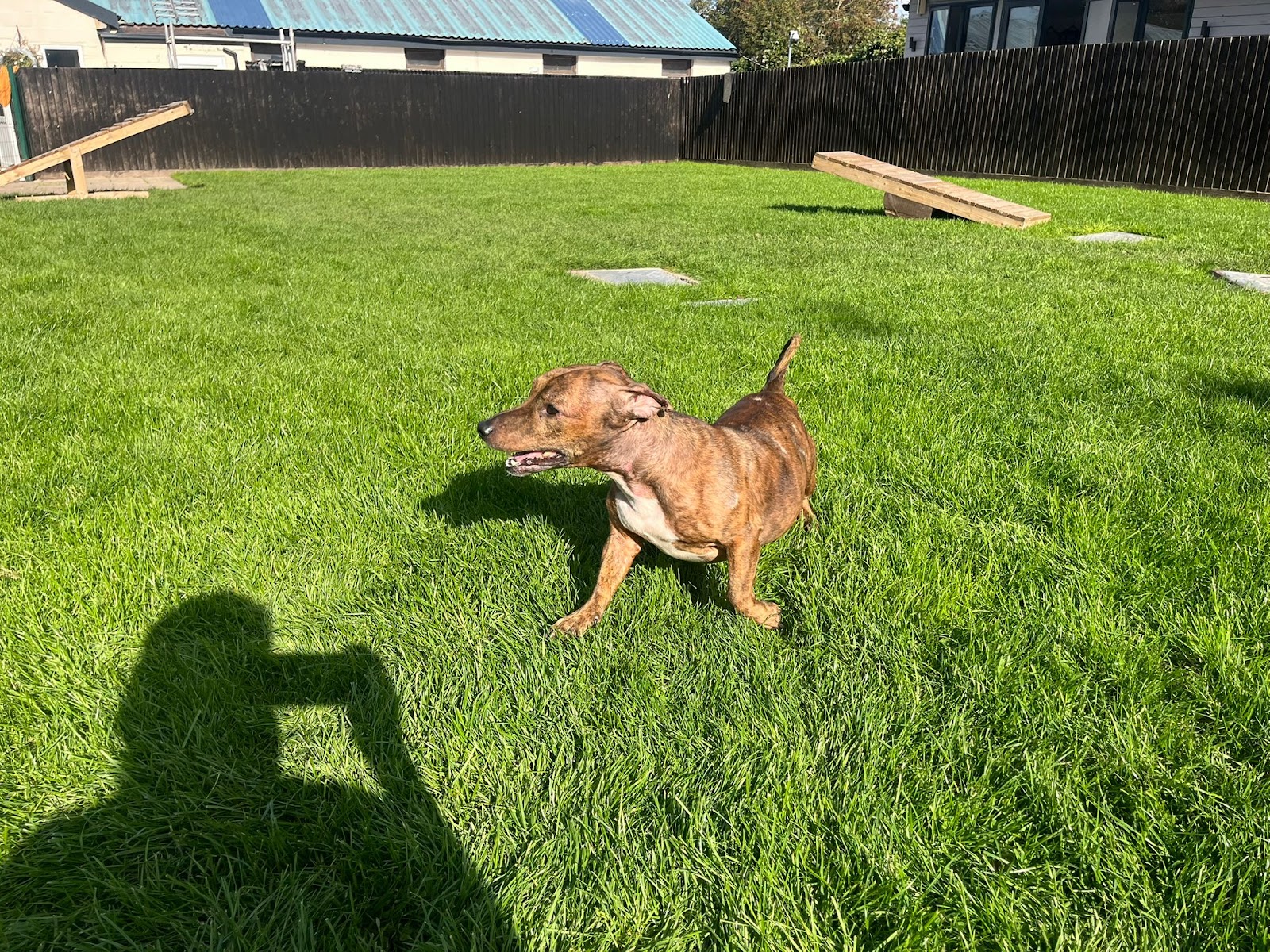 Platinum Boarding Kennels