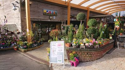 Hollybeck Garden Centre