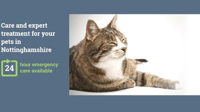 Minster Veterinary Centre Ltd