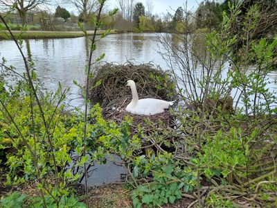 Reg Taylor's Landscape Supplies
