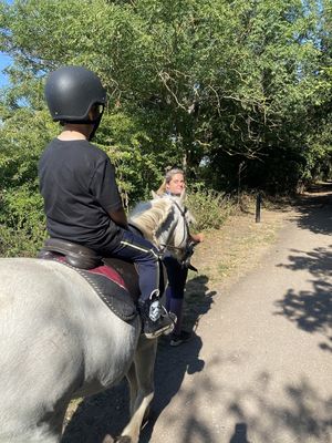 Southwell Equine Assisted Learning