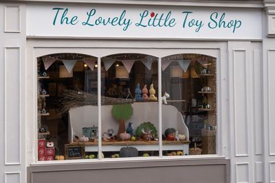 The Lovely Little Toy Shop