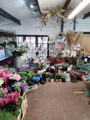 Tudor Rose Florist